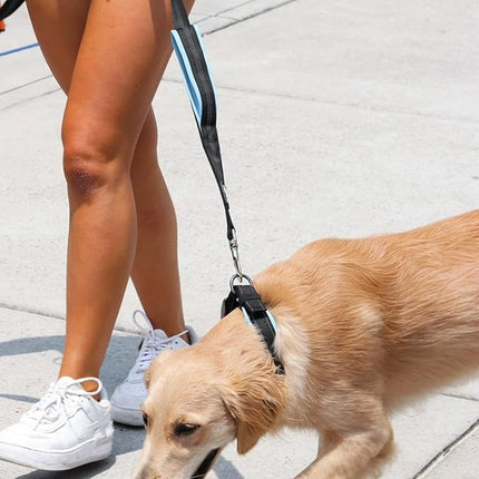 Black Rhino Extra Large Dog Collar - Adjustable Reflective Heavy Duty Dog Collar with Ultra-Soft Neoprene Padding - Weatherproof, Durable, and Comfortable - Ideal for Active Dogs - Pink and Black