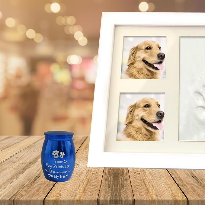 Small Pet Urns for Dogs Ashes Mini Urn Dog Ashes Cremation Keepsake Pet Memorial Urns Gift，Blue A