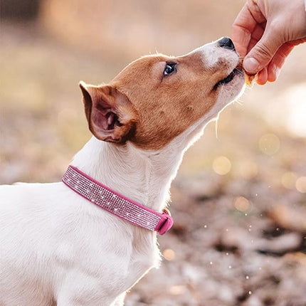 Dog Collar for Small Dogs, Adjustable Leather Suede Bling Dog Collars，Rose Red Dog Collar Cat Collar, Rhinestone Dog Collar (XS, Rose red)
