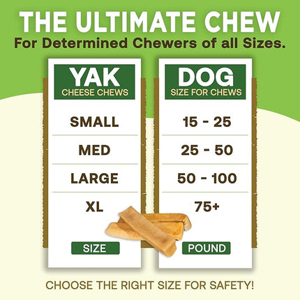 EcoKind Premium Gold Yak Cheese Himalayan Dog Chews, Healthy Dog Treats, Yak Chews for Small Dogs, All Natural, Long Lasting Dog Chew for Aggressive Chewers, High Protein Puppy Treat, Small - 8 Chews