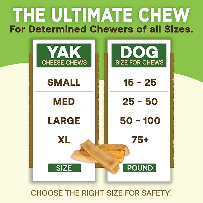 EcoKind Premium Gold Yak Cheese Himalayan Dog Chews, Healthy Dog Treats for Small Dogs, High Protein, All Natural, Long-Lasting Chew, Small - 4 Chews