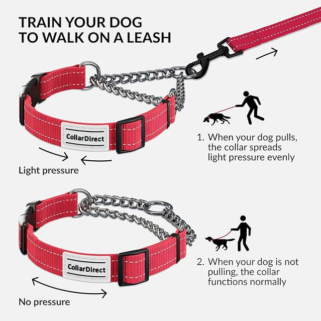 CollarDirect Martingale Dog Collar with Stainless Steel Chain and Quick Release Buckle - Reflective Collar for Large, Medium, Small Dogs - Pink, Large (Neck Size 17"-22")