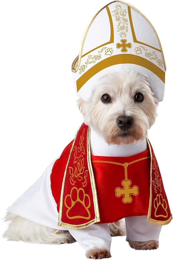 Holy Hound Pet Costume X-Small
