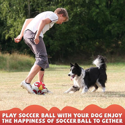 QDAN Dog Balls Toys, Dog Soccer Ball Toy Soccer Balls with with Straps, Dog Toys, Pet Puppy Birthday Gifts for Small Medium Dogs, 6 Inch, Chicken Ball