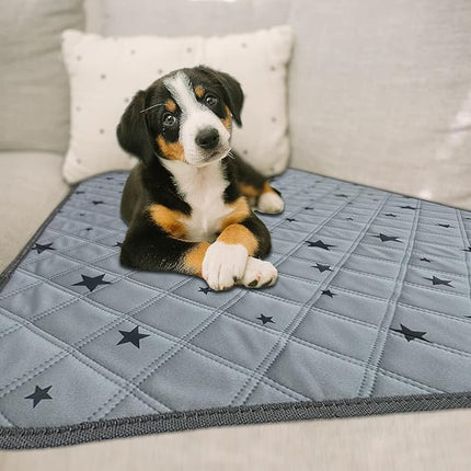 RIOUSSI Washable Pee Pads for Dogs, Reusable, Absorbent, Leakproof, Non Slip Pet Puppy Pads for Potty Training. Gray Stars, 36x41 Inch(4pack)