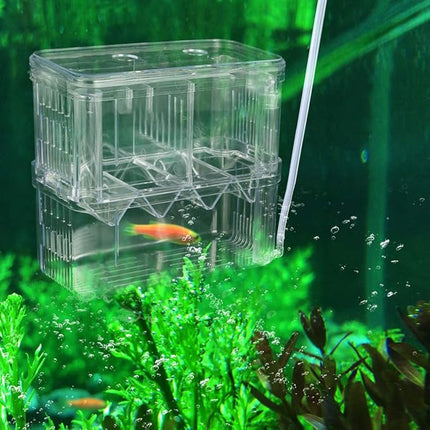Senzeal Aquarium Fish Breeder Box Plastic Fish Isolation Breeding Box Hatching Incubator for Baby Shrimp Clownfish Guppy