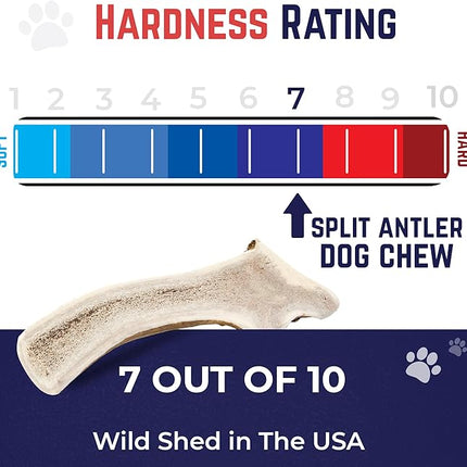 Devil Dog Pet Co. Split Elk Antlers for Dogs, Small 4"+, 2 Pack, Grade A Long Lasting Chew for Aggressive Chewers, Premium USA Naturally Shed Antler – Healthy, No Odor, Durable Dog Chew