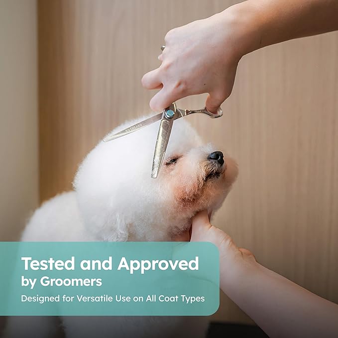 8” Dog Grooming Scissors – VG10 Japanese Steel Professional Pet Thinning Shears for Cats & Dogs | Clean Cut & Precise Trimming | Lightweight, Ergonomic, Handcrafted | Thinning Rate 50% | K9 Shears