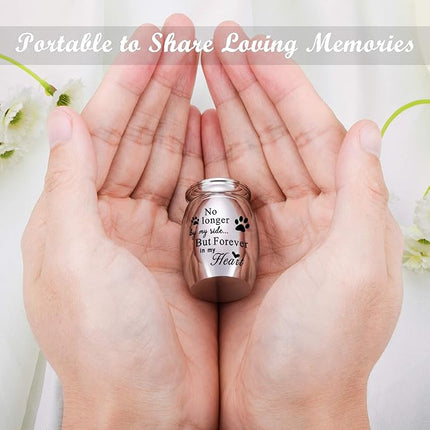XIUDA 1.57 inches Mini Pet Memorial Small Urns for Dog and Cat Ashes, Stainless Steel Cremation Urn, Pet Paw Print Keepsake Urn for Ashes - No Longer by My Side Forever in My Heart