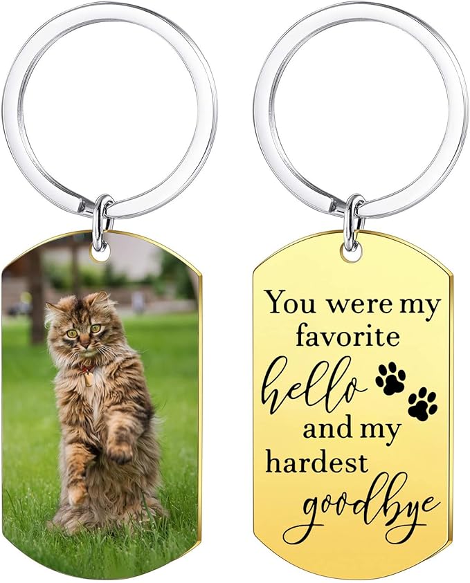 Funnylife Personalized Pet Memorial Keychain for Cats Stainless Steel Custom Cat Photo Keychain Pet Memory Keepsake Loss of Cat Sympathy Gifts