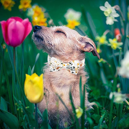 Elegant little tail Dog Collar, Floral Pattern Pet Collars with Bow Girl Cotton Bowtie Collars Spring Puppy Gift Adjustable Pet Collar for Medium Dogs