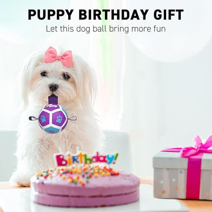 QDAN Small Dog Toys, Puppy Balls, Dog Balls with Straps for Small Breed, Soccer Ball for Dogs, Puppy Toys, Dog Birthday Gift (Purple Blue, 3.5 inch)