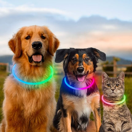 Light Up Dog Collars, USB Rechargeable Dlitk LED Dog Collar 1 Count, TPU Cuttable Size Glow Collar for Dogs, Dog Collar Light, Please Do Not Use Fast Charging (Green+Blue)