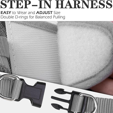 EXPAWLORER Classic Plaid Puppy Harness - Dog Collar and Leash - Soft Mesh Padded Adjustable Step in Small Dog Vest Harness No Pull, Reflective Escape Proof for Outdoor Walking, Grey Small