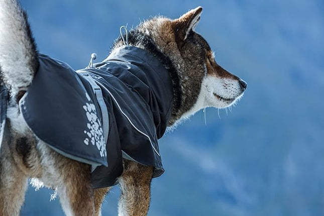 Hurtta Monsoon Coat, Dog Raincoat, BlackBerry, 18 in