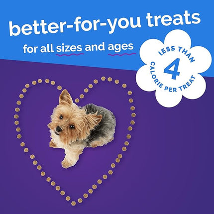 Fruitables Skinny Mini Dog Treats, Healthy Pumpkin Treat for Dogs, Low Calorie & Delicious, Puppy Training, No Wheat, Corn or Soy, Made in The USA, Pumpkin and Berry Flavor, 12oz