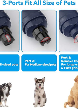 Casfuy Dog Nail Grinder with 2 LED Light - New Version 2-Speed Powerful Electric Pet Nail Trimmer Professional Quiet Painless Paws Grooming & Smoothing for Small Medium Large Dogs and Cats (Blue)