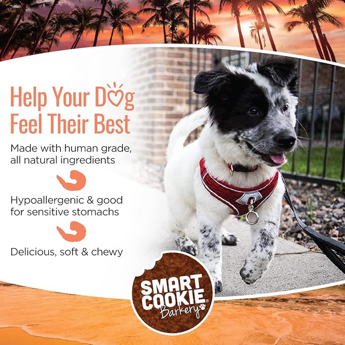 Smart Cookie All Natural Soft Dog Treats - Shrimp & Coconut - Healthy Dog Treats for Allergies, Sensitive Stomachs - Chewy, Grain Free, Human-Grade, Made in The USA - 5oz Bag, 1 Pack
