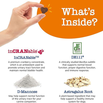 Zesty Paws Senior Cranberry Supplement for Dogs - Bladder Control for Senior Dogs - Urinary Tract Support - Cranberry Chews - Immune & Gut Support - Chicken - 90 Count