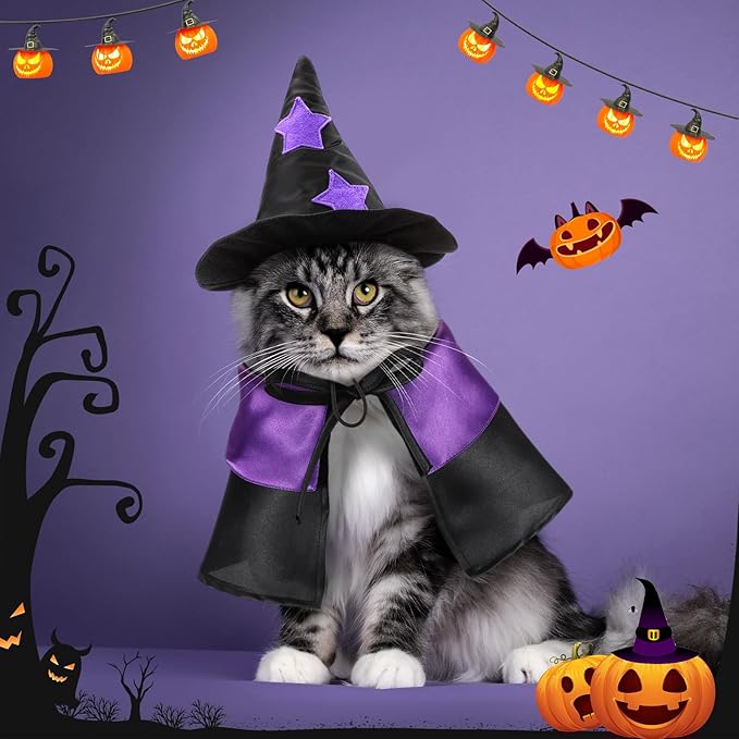 2 Sets Halloween Pet Costume Cats Witch Shaped Cloak and Hat Witch Cloak for Small Large Pets Gifts Party Favor(Large)