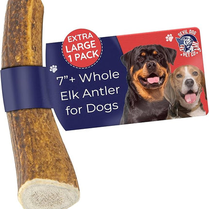 Devil Dog Pet Co. Elk Antlers for Dogs, Extra Large 7"+, 1 Pack, Grade A Long Lasting Chew for Aggressive Chewers, Premium USA Naturally Shed Antler – Healthy, No Odor, Durable Dog Chew