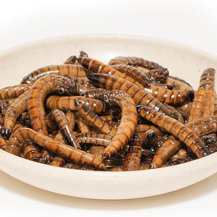 6 Pack Canned Superworms for Reptiles, Fish, Birds and Small Animals, Super Worms, Healthy High Protein Treat for Reptile Bird Fish Food 7.2 Ounces Total