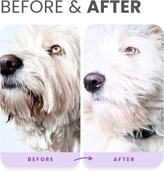 Lillian Ruff PRO Formula Ultra Brightening Dog Shampoo - Professional Whitening & Long-Lasting Odor Eliminator - Removes Stains & Discoloration, Dry Skin & Itch Relief with Aloe & Provitamin B5 (16oz)