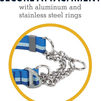 Ruffwear, Chain Reaction Dog Collar, Adjustable Reflective Martingale Escape-Proof Collar with Stainless Steel Chain, Professional Training Control, Blue Pool, 14"-20"
