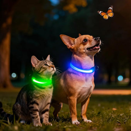 Light up Collar for Small Dog,Vizpet XS Adjustable Size Nylon Collar USB Rechargeable Bright Safety Pet Collar for Cats Small Dogs (Blue, X-Small[ 8.66-11.9 inch/22cm-30cm])