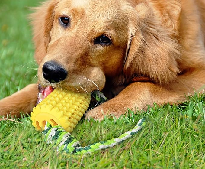 Dog Chew Toys, Puppy Toothbrush Clean Teeth Interactive Corn Toys, Dog Toys Aggressive Chewers Medium Large Breed