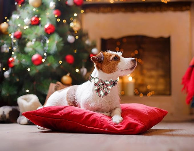 ARING PET Christmas Dog Collar, Cute Xmas Pet Collar with Sailor Bowtie Red and Green Plaid Bow Tie Collars with Metal Buckle for Puppy Small Medium Large Boy Girl Dogs-S