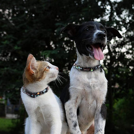 Roses&Poetry Dog Collar and Leash for Medium Large,Adjustable Durable Blue 5ft Puppy Leash Collar for Dog Training Lead（Star-L）