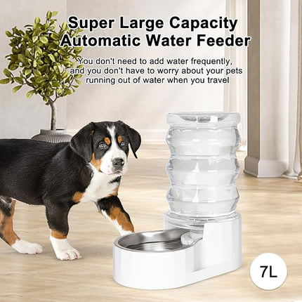 RIZZARI Automatic Gravity Pet Waterer: 6.5L White Stainless Steel Water Dispenser - Large Capacity with Triple Filter and Specialized Brush for Senior Dogs with Spinal Issues - for Living Room Bedroom