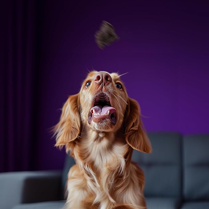 King Lou Pets - USA-Made Dehydrated Beef Heart Jerky Dog Treats - 1 lb of Fresh Beef Heart Prior to Dehydration