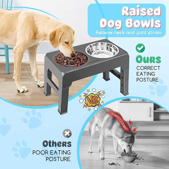 URPOWER Raised Slow Feeder Dog Bowls 4 Height Adjustable Elevated Bowl Stand with Stainless Steel Water Bowl and Slow Feeder Non-Slip Dog Food Bowls Stand for Small Medium Large Dogs and Pets