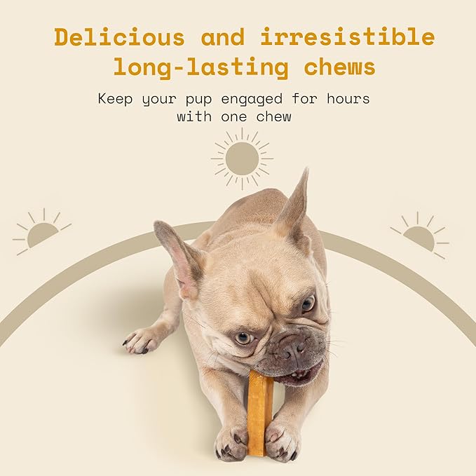 Himalayan Yak Cheese Dog Chews - Natural Healthy & Safe Treat for Small & Medium Dogs - Long Lasting Dental Chew Rich in Protein & Calcium - Gluten-Free Lactose-Free - 6 Chews for Medium Dogs