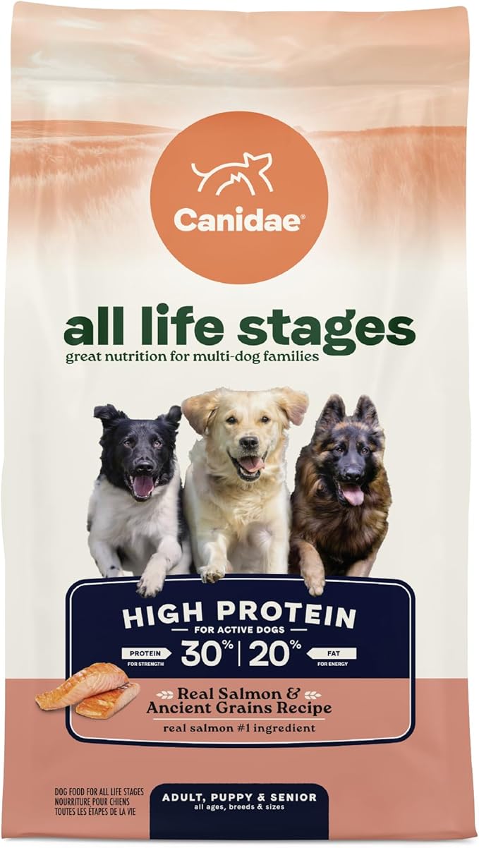 Canidae All Life Stages High Protein Dry Dog Food, Salmon & Ancient Grains Recipe, 4 lbs.