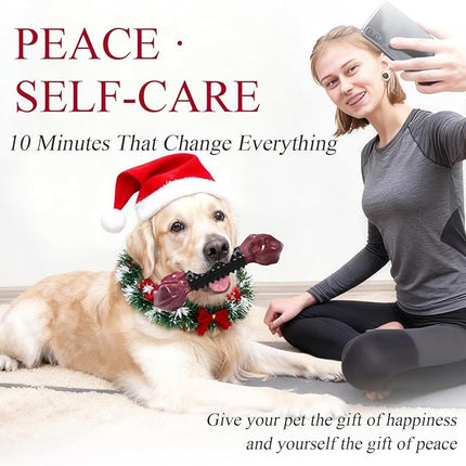 Apasiri Tough Dog Toys for Aggressive Chewers Large Breed, Dog Chew Bone with Bacon Flavor, Nylon & Rubber Chew Toy for Medium Large Dogs