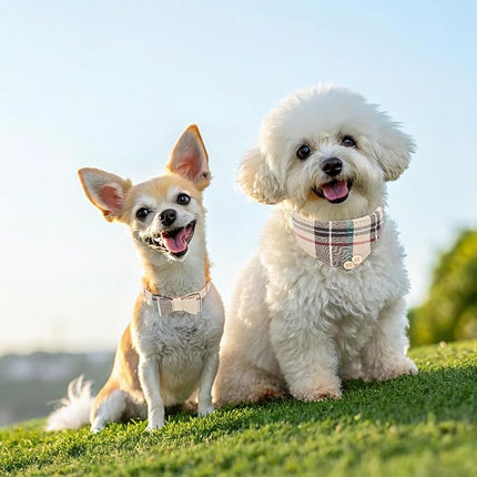 EXPAWLORER Dog Collar and Bandana Set - Classic Plaid Dog Bow Tie and Bandana Collar with PU Leather, Adjustable Collars for Small Medium Large Dogs Cats, Holiday Ideal Gift, Beige XS
