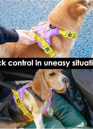 PHOEPET No Pull Dog Harness, Unique Colors Reflective Adjustable Dog Vest, with Soft Training Handle Metal Clips for Small Medium Large Dogs (Baby Purple Base & Yellow Straps,L)
