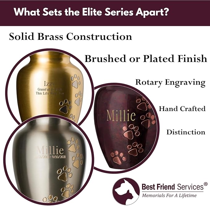 Ottillie Paws Elite Series Personalized Pet Urn for Dogs and Cats - Pet Memorial Urns with Custom Engraving(Brass, Horizontal, Pewter, X-Large)