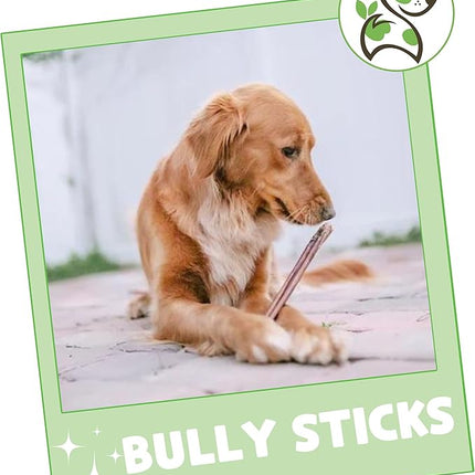 Nature Gnaws Bully Sticks for Dogs 11-12" (8oz) - Mixed Thickness - Long Lasting for Aggressive Chewers and Large Dogs - Natural Beef Dog Chew Bones
