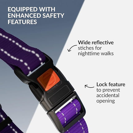 CollarDirect Martingale Dog Collar with Stainless Steel Chain and Quick Release Buckle - Reflective Collar for Large, Medium, Small Dogs - Purple, Large (Neck Size 17"-22")