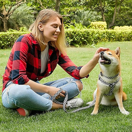 Roses&Poetry Dog Collar and Leash for Small,Adjustable Durable 5ft Puppy Leash Collar for Dog Training Lead（Black & White-S）