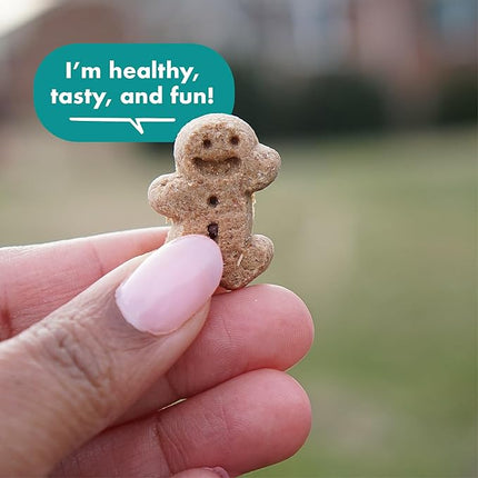 Buddy Biscuits Boosters 5 oz. Pouch of Hip and Joint Soft Chews Dog Treats Made with Natural Chicken (Pack of 4)