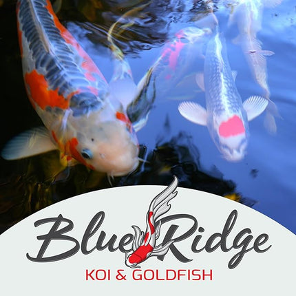 Blue Ridge Koi Fish Food 50lb - Koi Food Color Growth Formula, Goldfish Food, Premium Fish Food for Ponds, Ponds Fish Food, Floating Pond Pellets