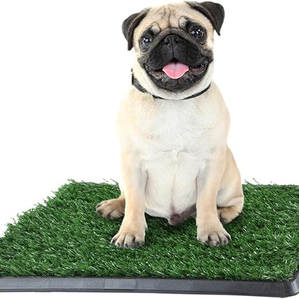 Artificial Grass Puppy Pee Pad for Dogs and Small Pets - 16x20 Inch, Reusable 3-Layer Potty Training Pad with Tray - Dog House and Pet Supplies by PETMAKER