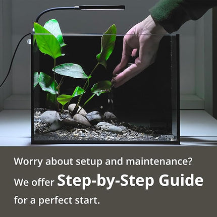 NICREW 2.5 Gallon Nano Nature Aquarium Kit, Ultra-Clear Rimless Desktop Fish Tank with Light, Filter, Gravel and Rock, Perfect for Small Fish, Shrimp, or Betta, Complete Version, Black