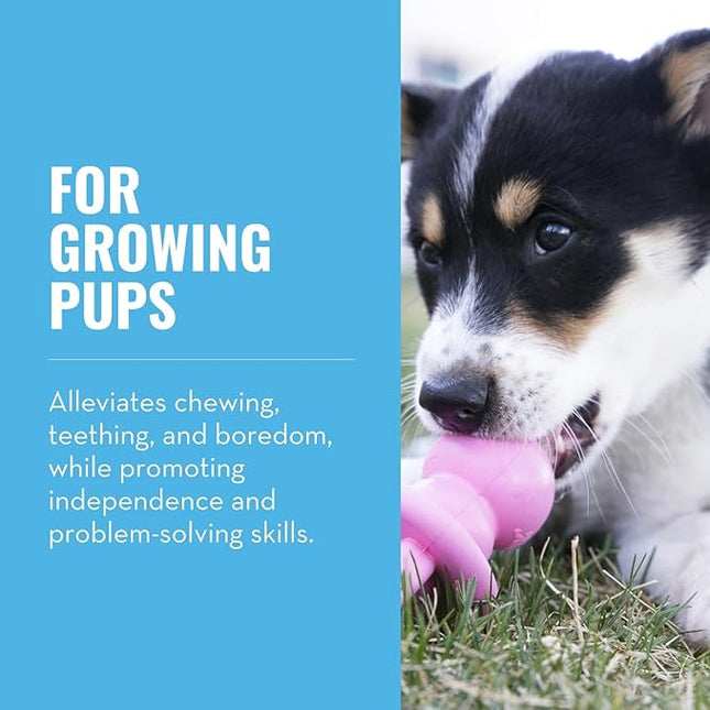 KONG Puppy Binkie - Pacifier Dog Toy for Puppies - Stuffable Treat Chew Toy for Treats - Durable Natural Rubber for Teething Puppy - for Medium Puppies - Pink