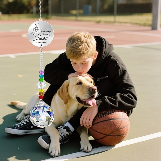 Dog Memorial Gifts for Loss of Dog, Pet Sympathy Crystal Window Memorial Suncatcher,Bereavement Gift Sun Catcher,Remembrance Pet Passing Away Loss Gifts (D)